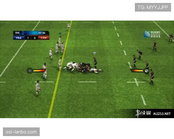 都柏林申办2027年女子橄榄球世界杯决赛，场馆升级计划提交审议